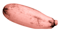 curgette