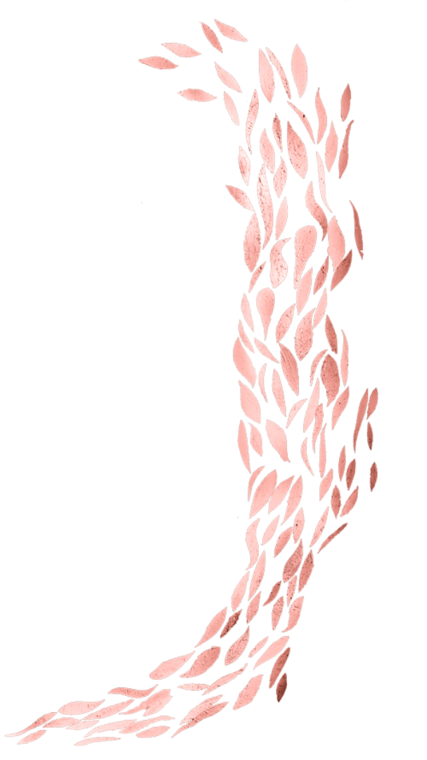 donate bg