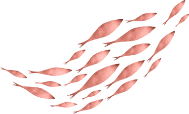 home fishes