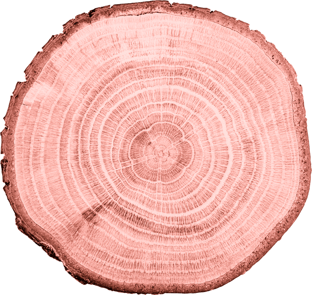 home-wood