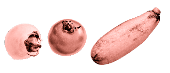 mob-images